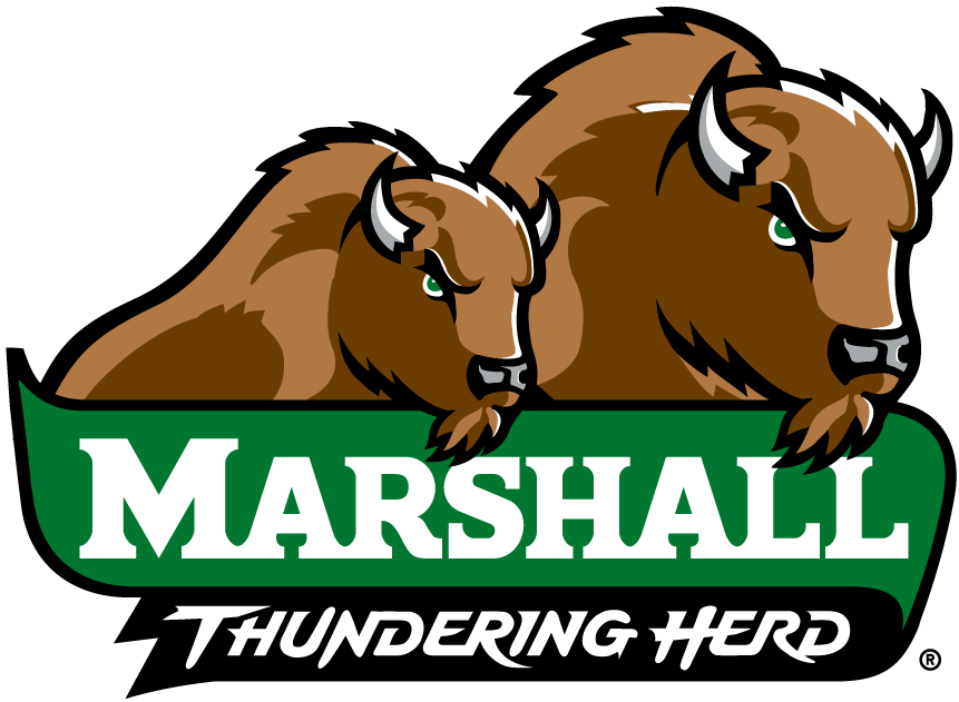 Marshall Thundering Herd 2001-Pres Alternate Logo v4 iron on transfers for clothing
